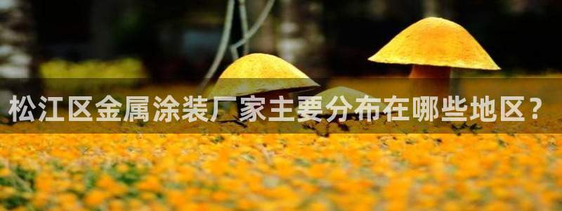 美高梅音乐会所怎么样