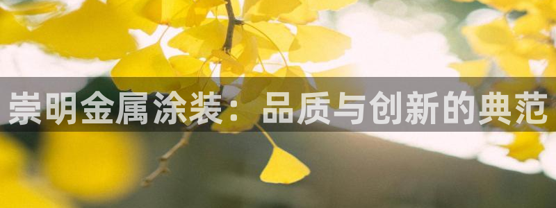 美高梅会员卡级别分类图片
