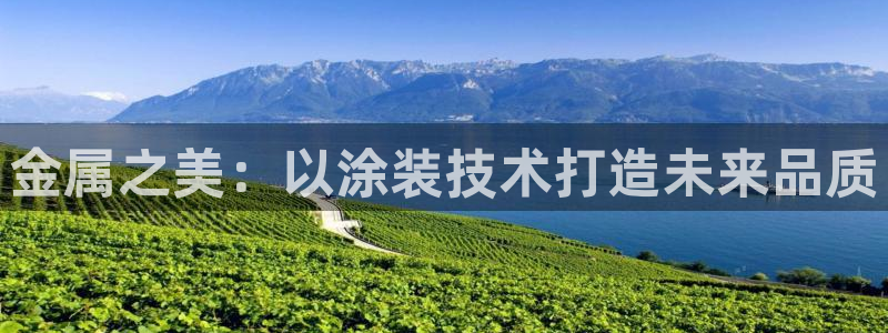 美高梅公司的业务范围