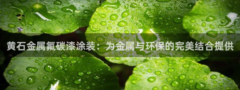 美高梅酒店房价