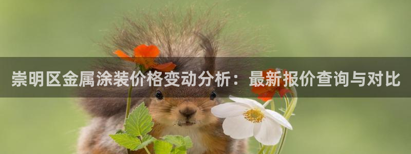 美高梅股票涨了多少