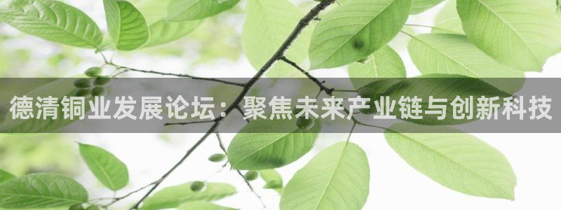 美高梅大酒店澳门