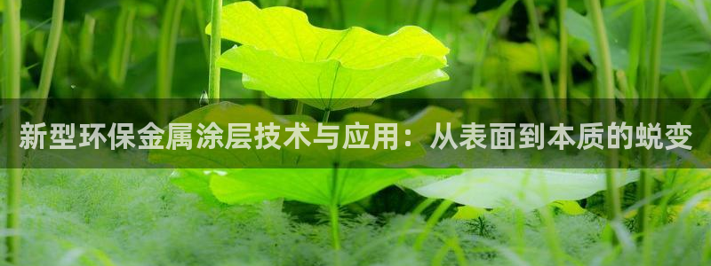 美高梅酒店澳门图片