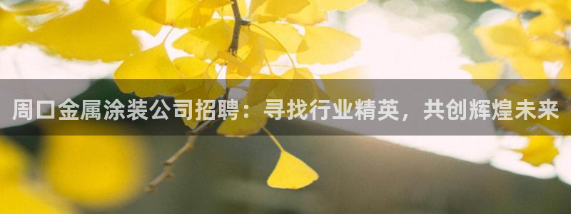 美高梅酒店品牌介绍