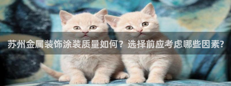 美高梅酒店怎么样
