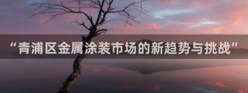 美高梅酒店ka秀价格