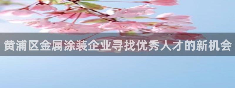 美高梅金狮卡值多少钱