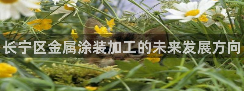 美狮美高梅百度百科