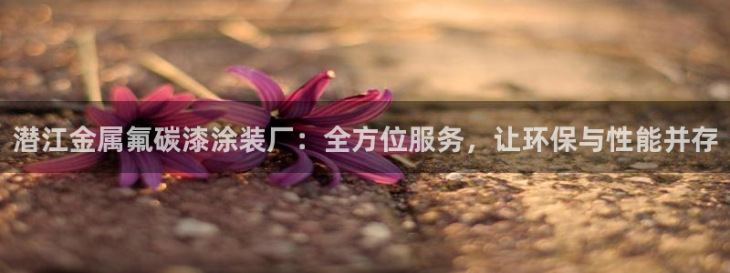 美高梅是干什么的