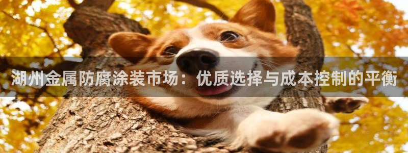 鲁能钓鱼台美高梅loft