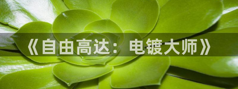 美高梅尊贵卡值多少钱