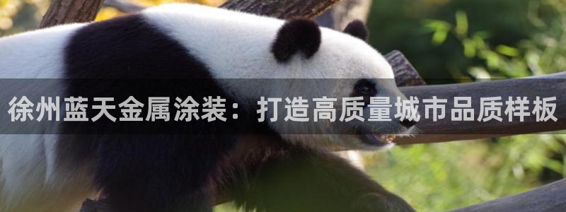 美狮美高梅酒店狮子一动代表什么