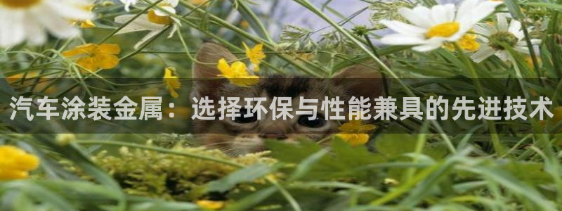 美高梅属于什么档次的品牌
