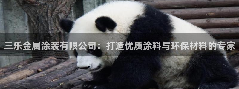 美高梅直营高