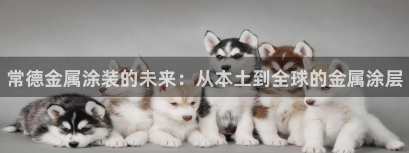 美高梅飞鱼表演时间