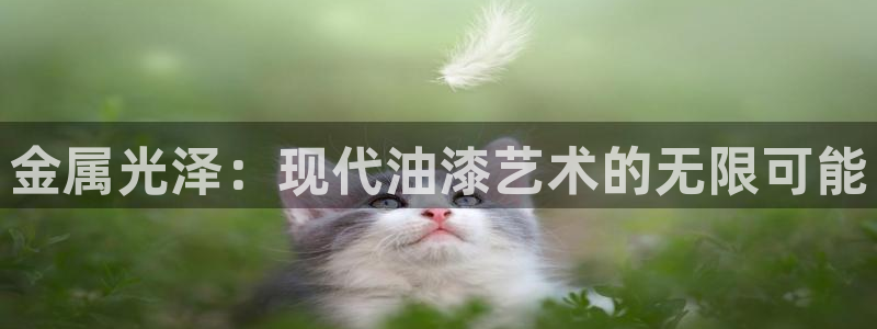 三亚美高梅度假酒店是何超琼的吗
