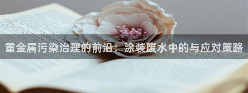 美高梅早餐价格：重金属污染治理的前沿：涂