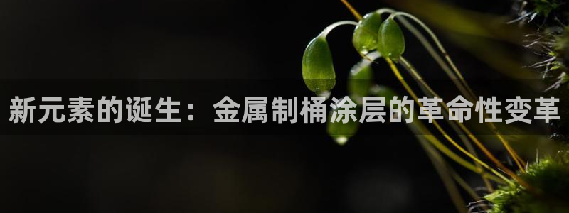 美高梅酒店拖鞋可以带走嘛