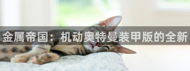 鲁能美高梅别墅容积率