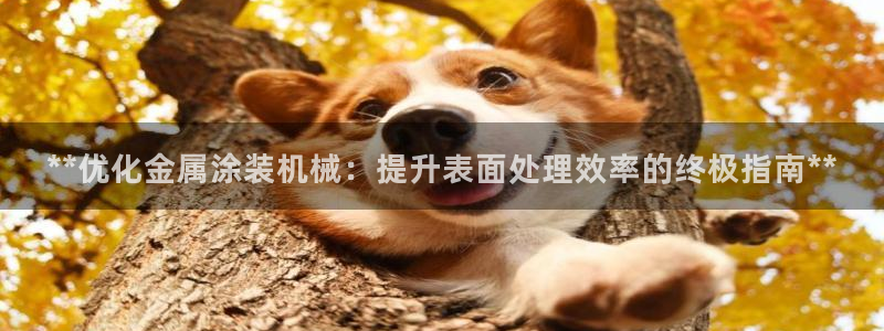美高梅儿童乐园官网：**优化金属涂装机械