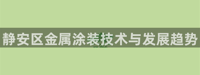 美高梅中国控股有限公司 介绍